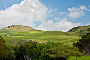 Hills of Waimea